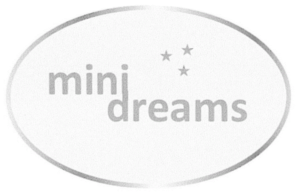 Mini Dreams