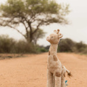 Little Dutch Gosedjur Giraff Safari Friends