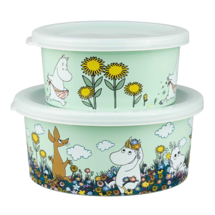 Mumin Äng Snackbox 2-pack Grön i gruppen Äta & Mata / Matförvaring hos Köpbarnvagn (MUMI6673)