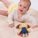 Taf Toys Aktivitetleksak Hunden Daniel
